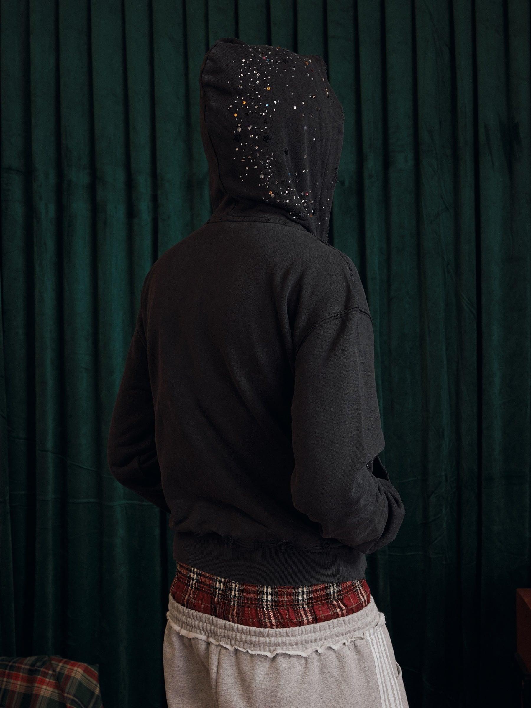 Aelfric Eden Rhinestone Boxy Zip Up V302 Hoodie Product Image