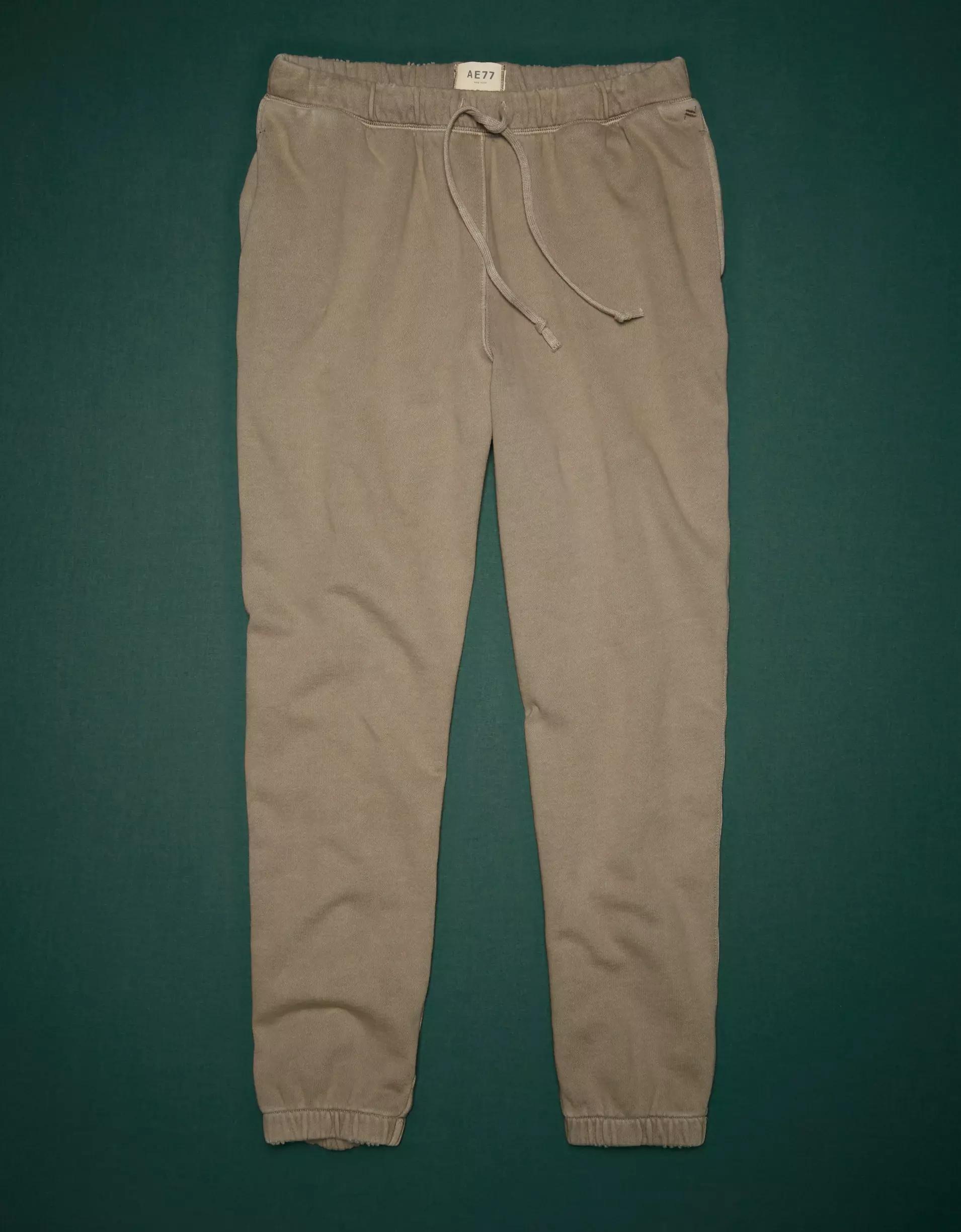 AE77 Premium French Terry Jogger Product Image