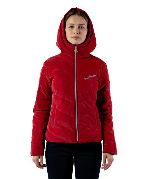 Woodpecker Women's Robin Medium Weight Coat Product Image