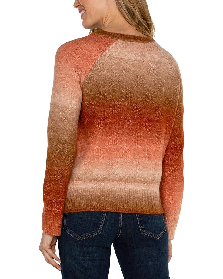Long Sleeve Boat Neck Dolman Sleeve Sweater Product Image