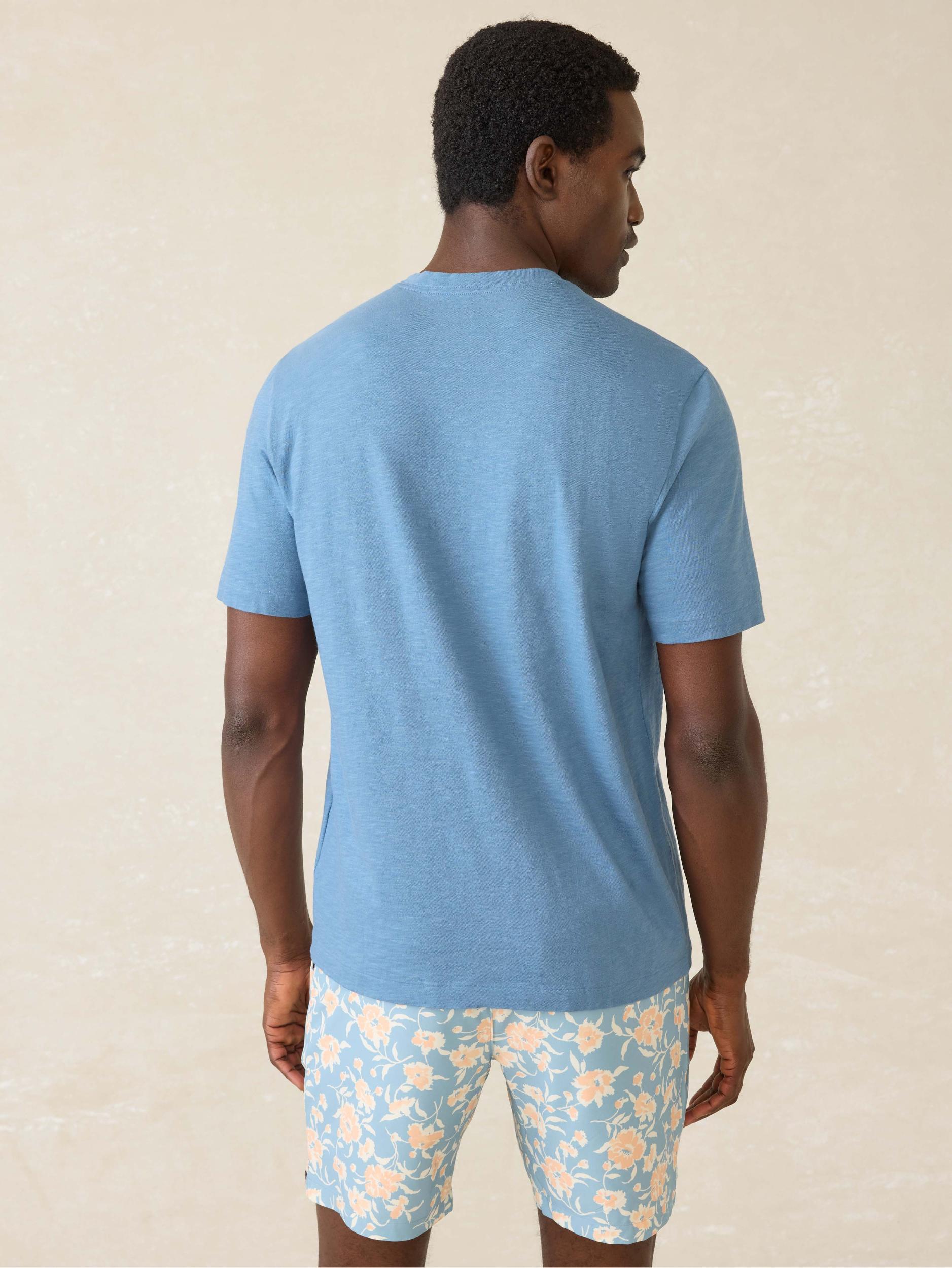 Short-Sleeve Sunwashed Regenerative Cotton V-Neck Tee - Blue Shore Male Product Image