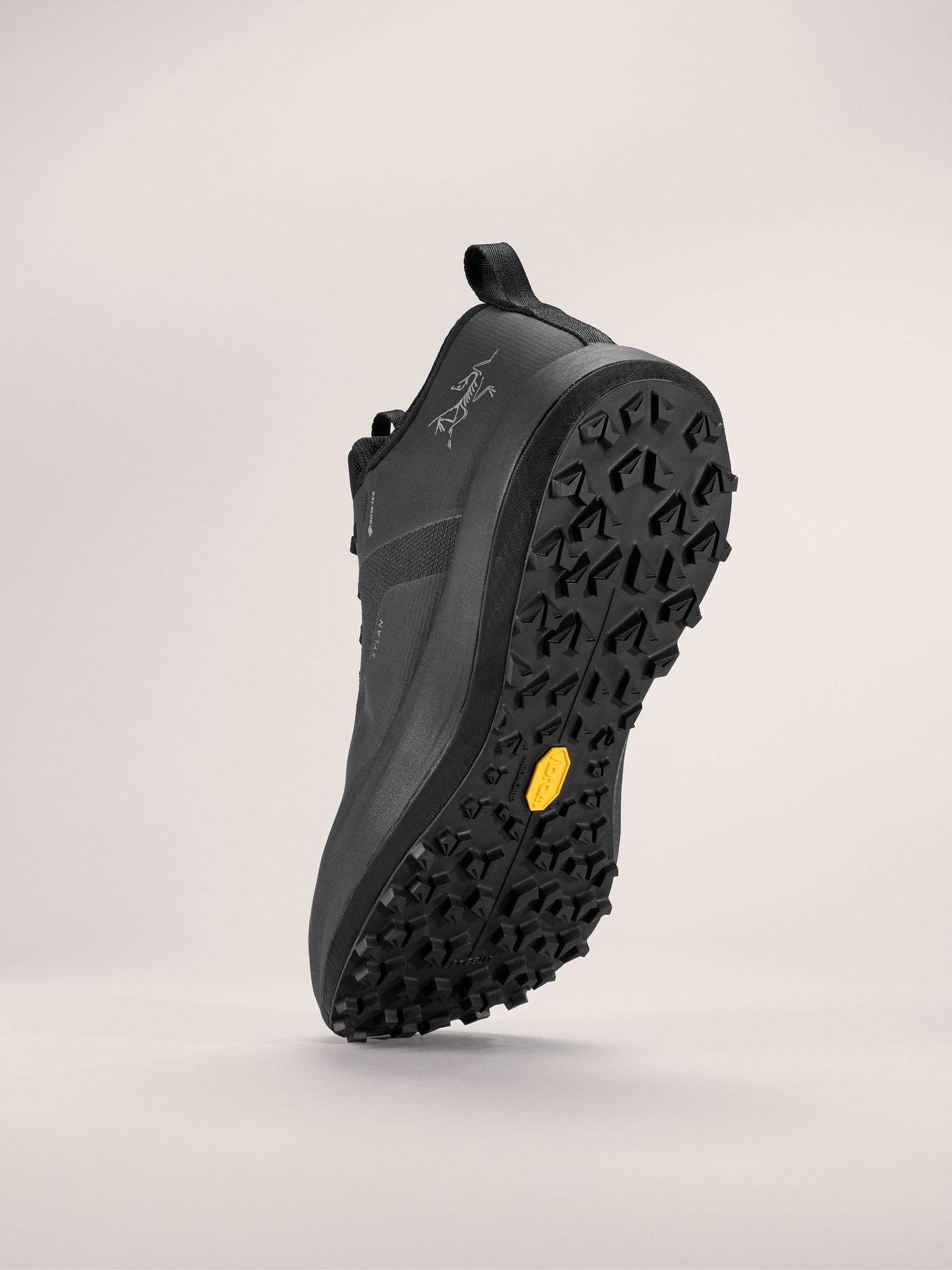 Sylan GTX Shoe Women's Product Image