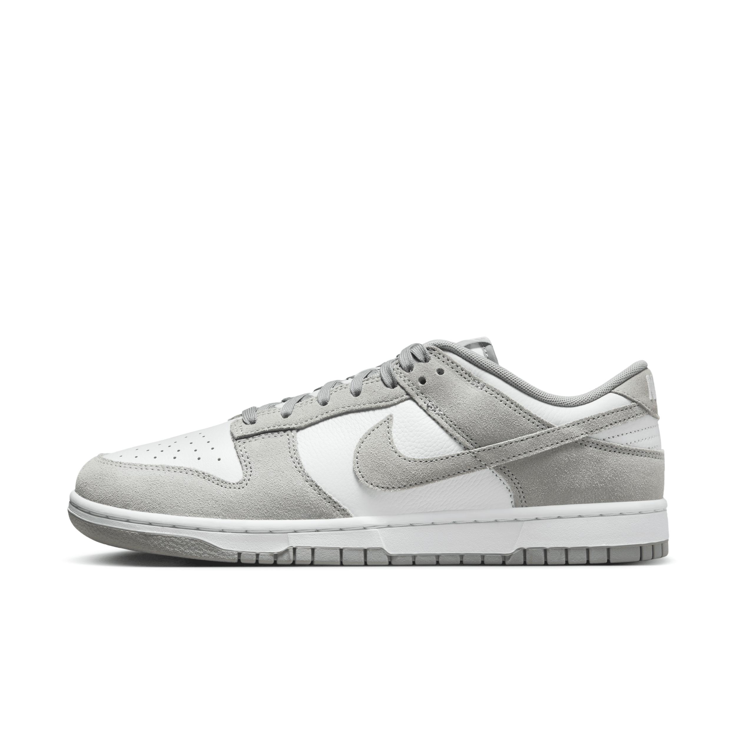 Nike Mens Dunk Low Retro SE Leather/Suede Shoes | FQ8249-101 Product Image