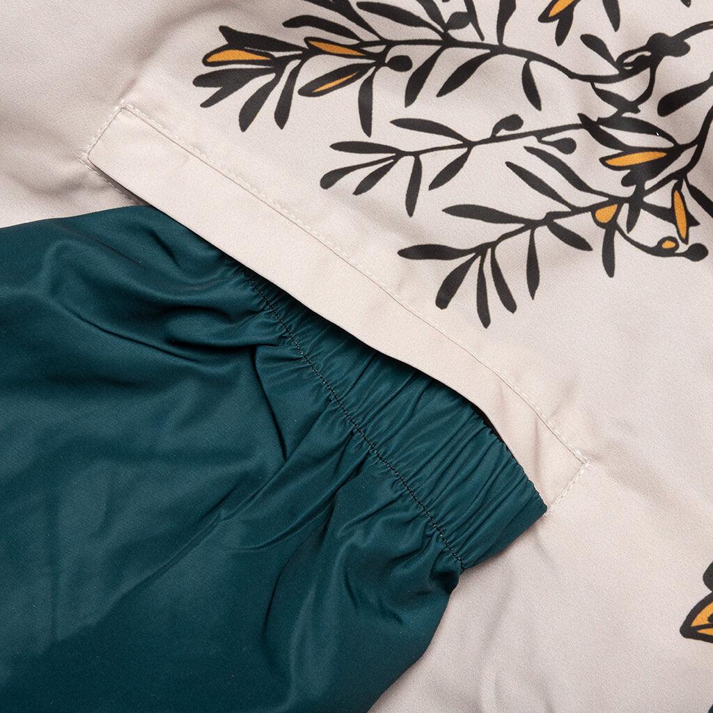 Lorenzo Coach Jacket - Dark Green Male Product Image