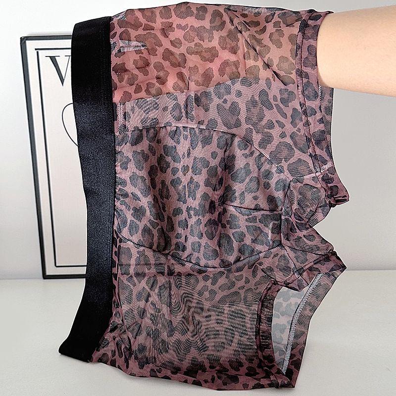 Leopard Print Boxer Brief / Set Product Image