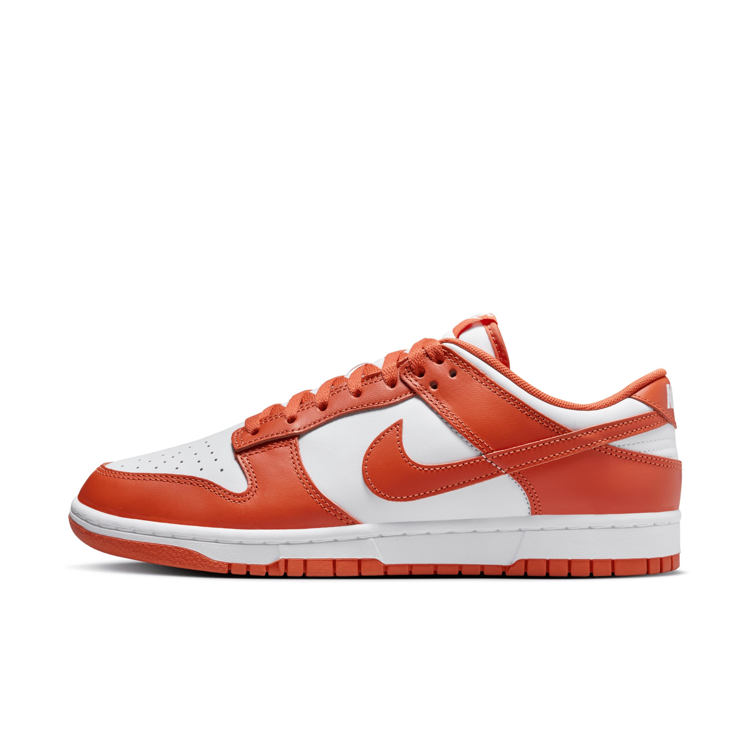 Nike Dunk Low Retro Men's Shoes Product Image
