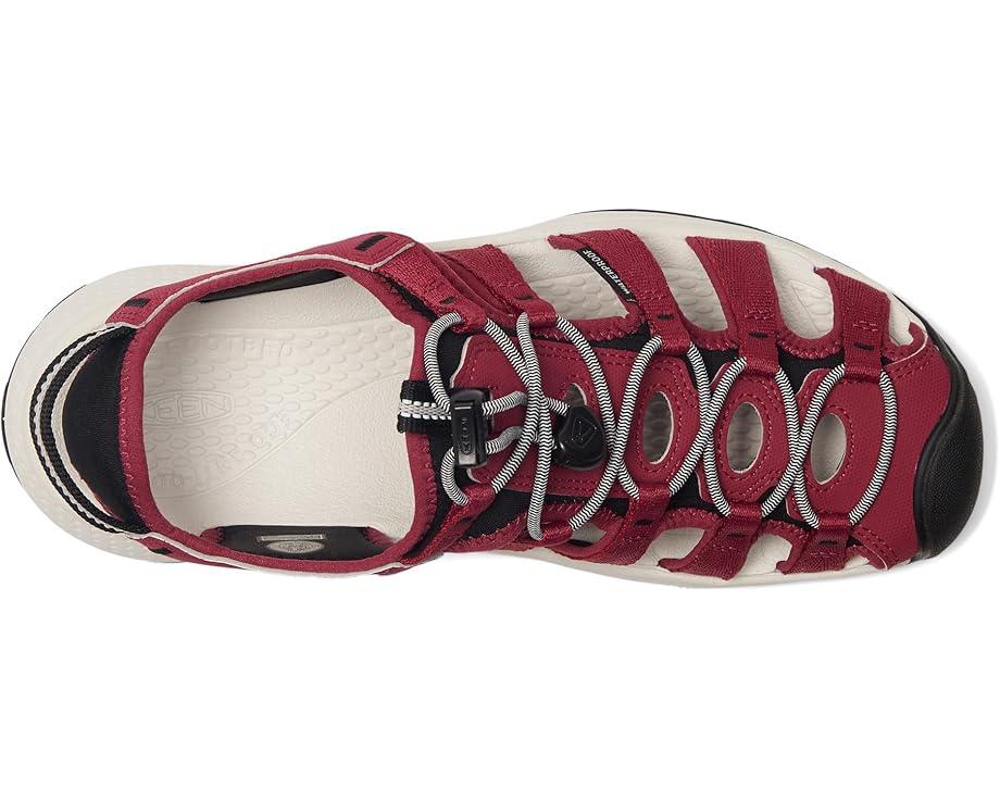 Newport H2 Product Image