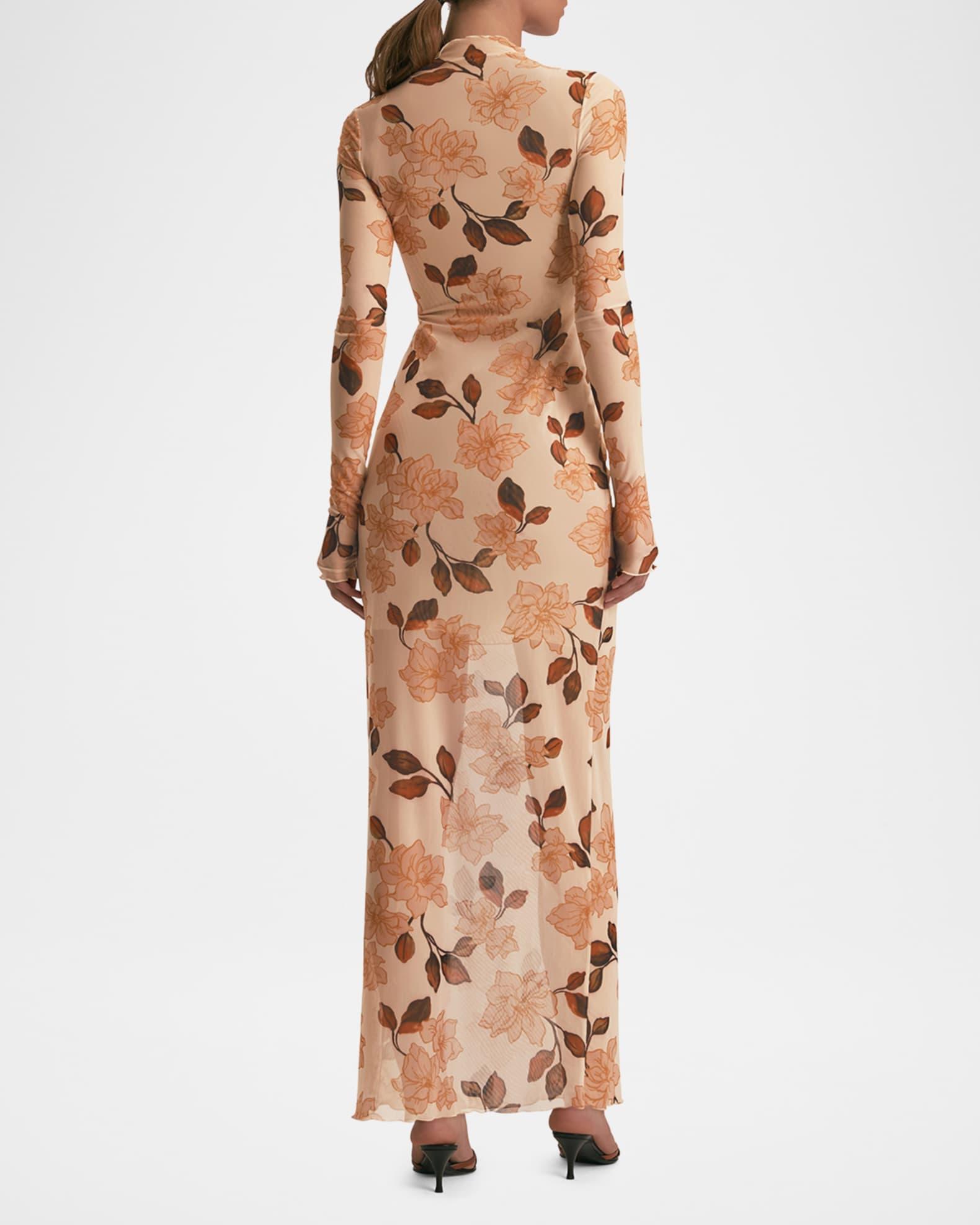 The Sheer Fantasy Maxi Dress Product Image