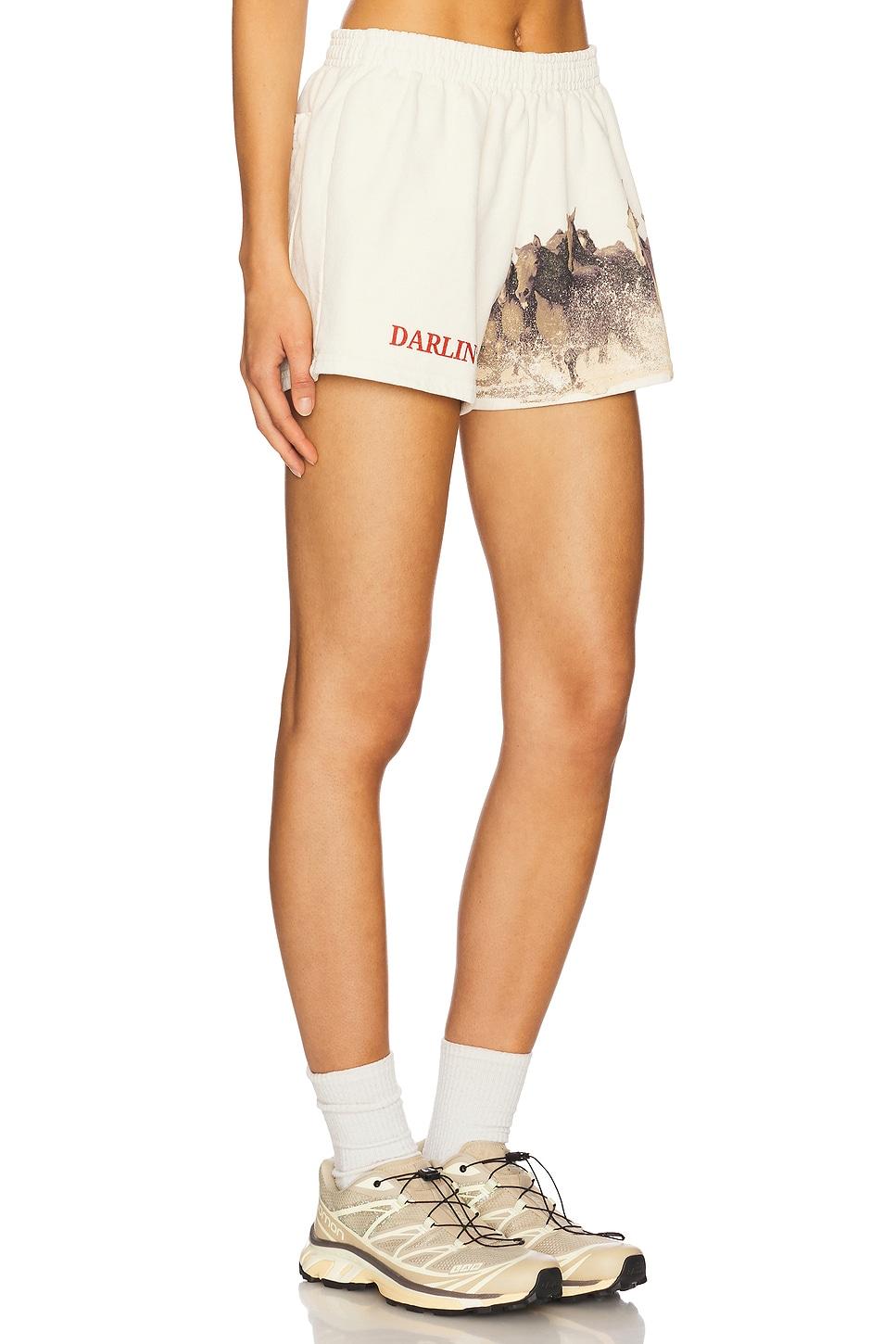 Wild Sweatshort Darlin Product Image