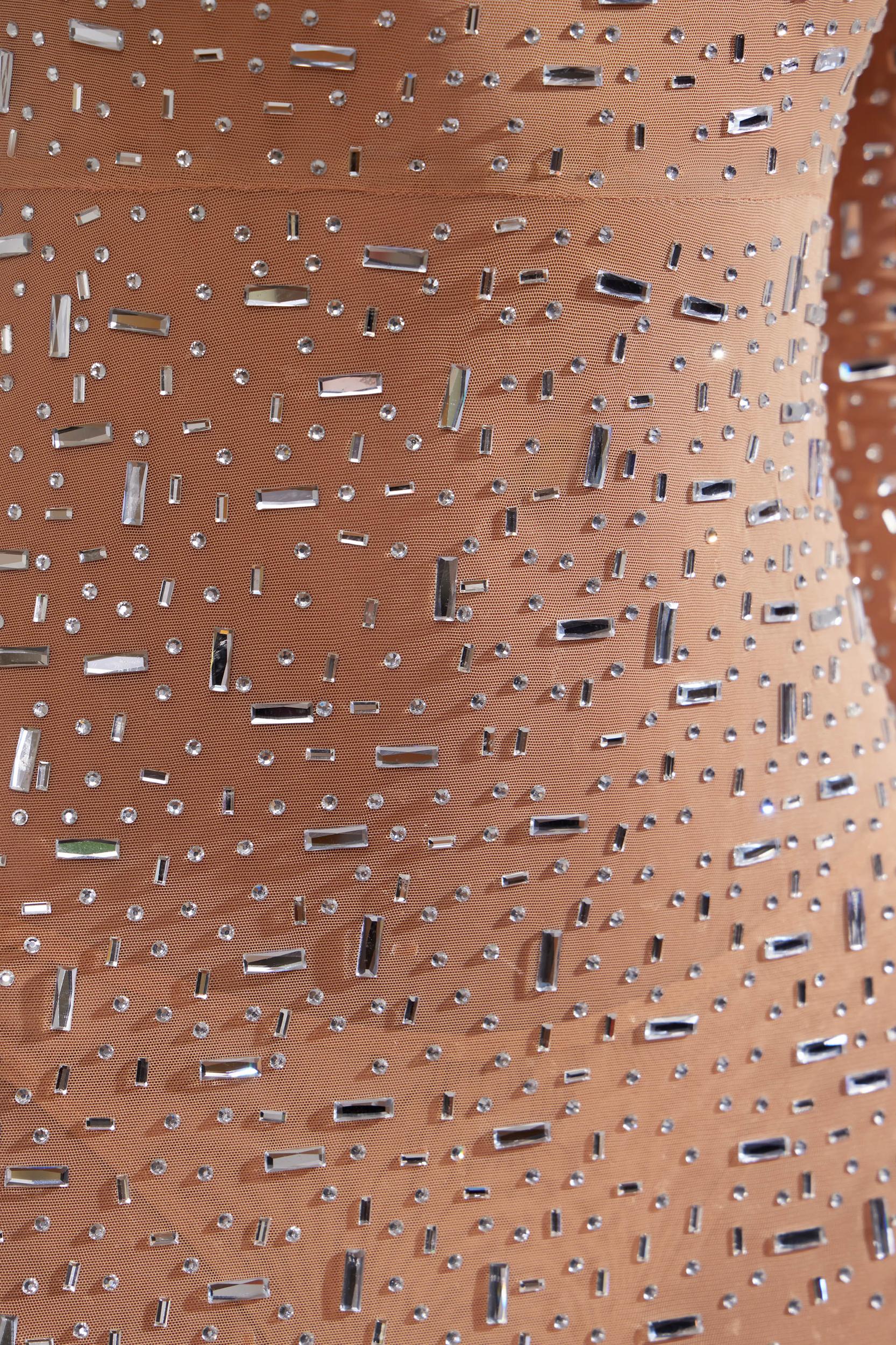 Sheer Embellished Long Sleeve Evening Gown in Almond Product Image