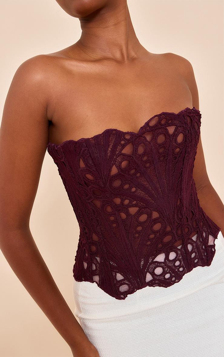 Dark Plum Textured Sheer Floral Lace Corset Product Image
