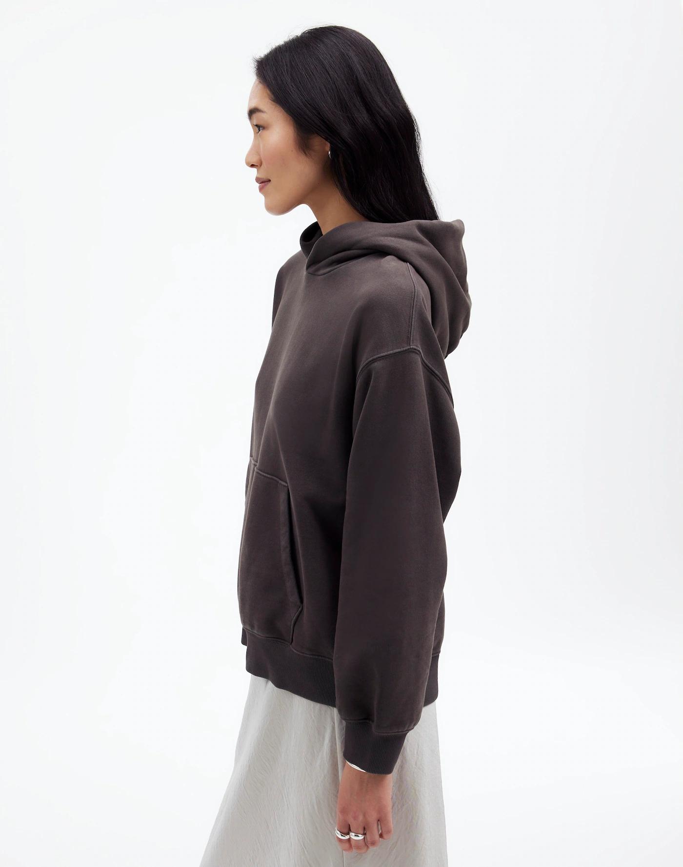 Midweight Hoodie Sweatshirt Product Image