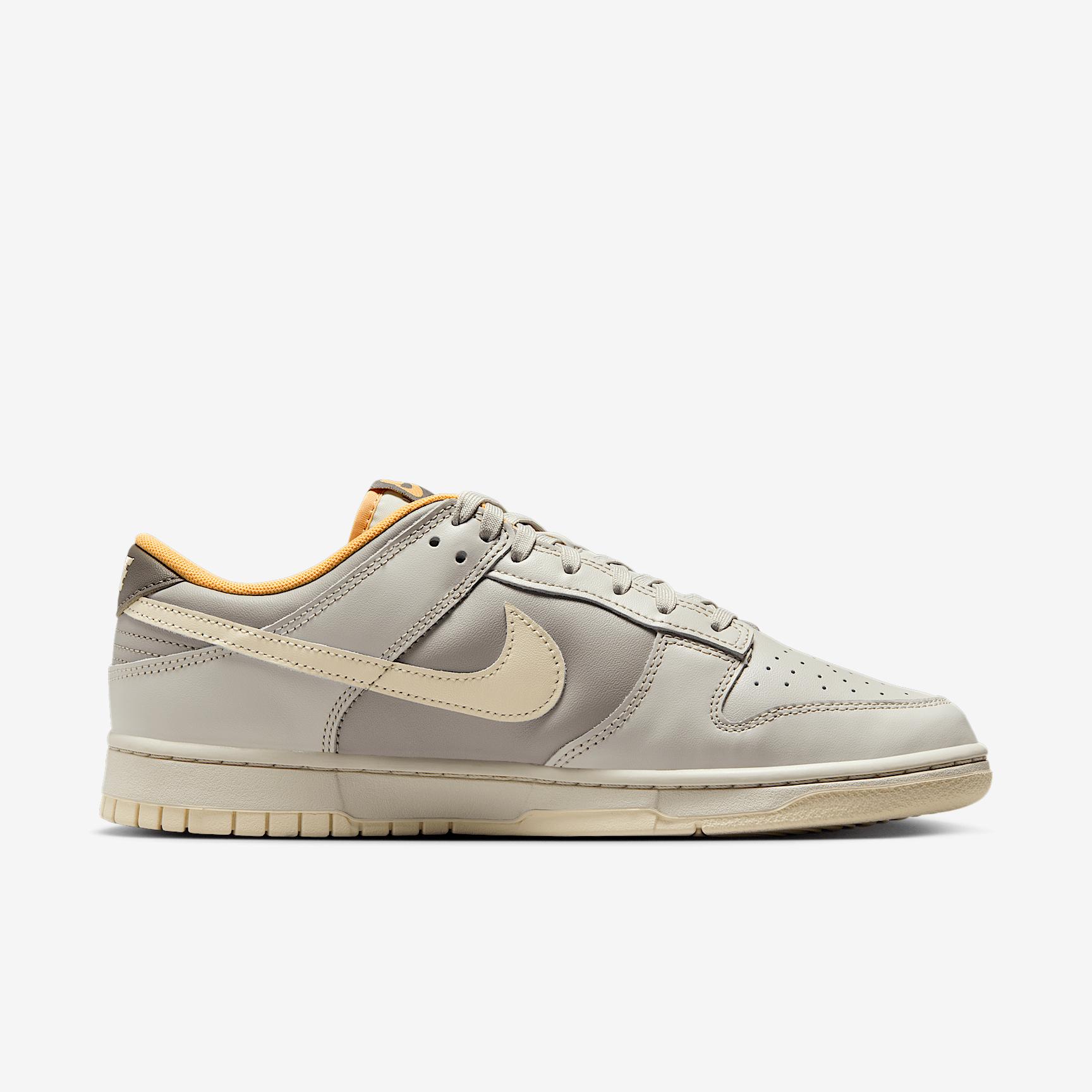 Nike Mens Dunk Low Retro Shoes | HF5441-105 Product Image