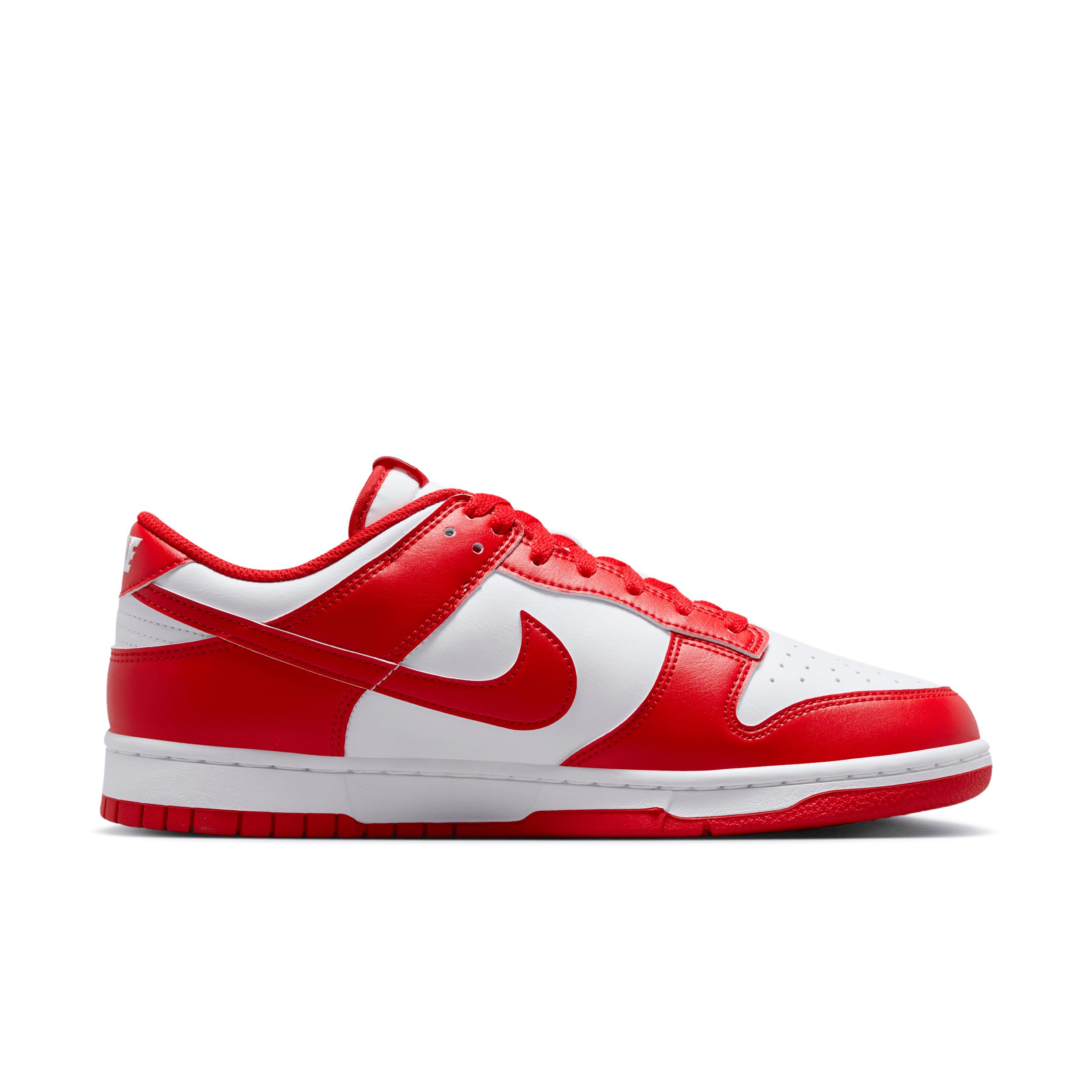 Nike Mens Dunk Low Retro Shoes | HF5441-104 Product Image