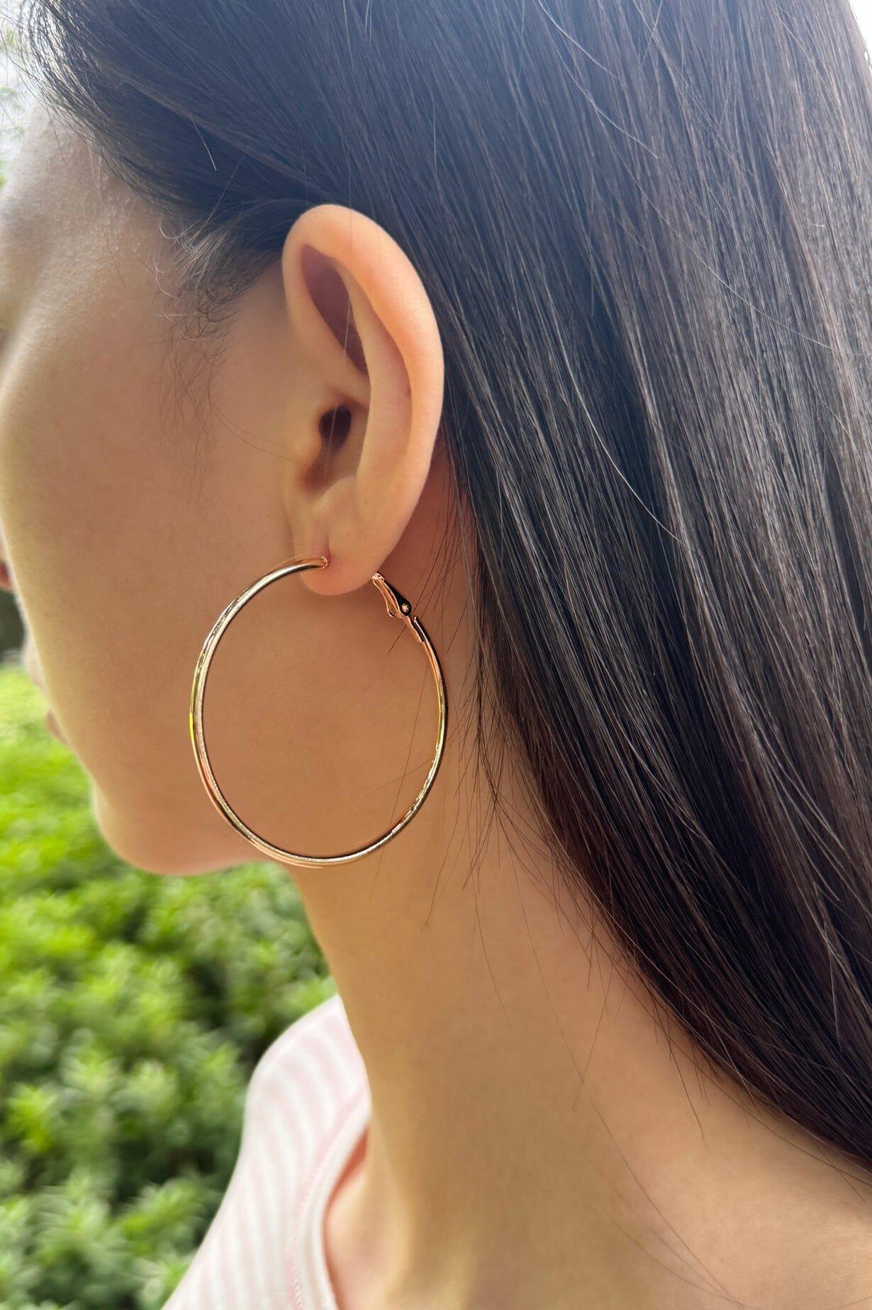 Hoop Earrings Product Image