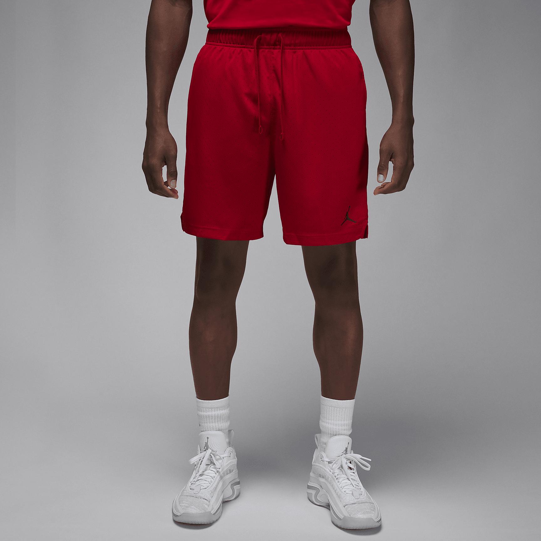 Men's Jordan Sport Dri-FIT Mesh Shorts Product Image
