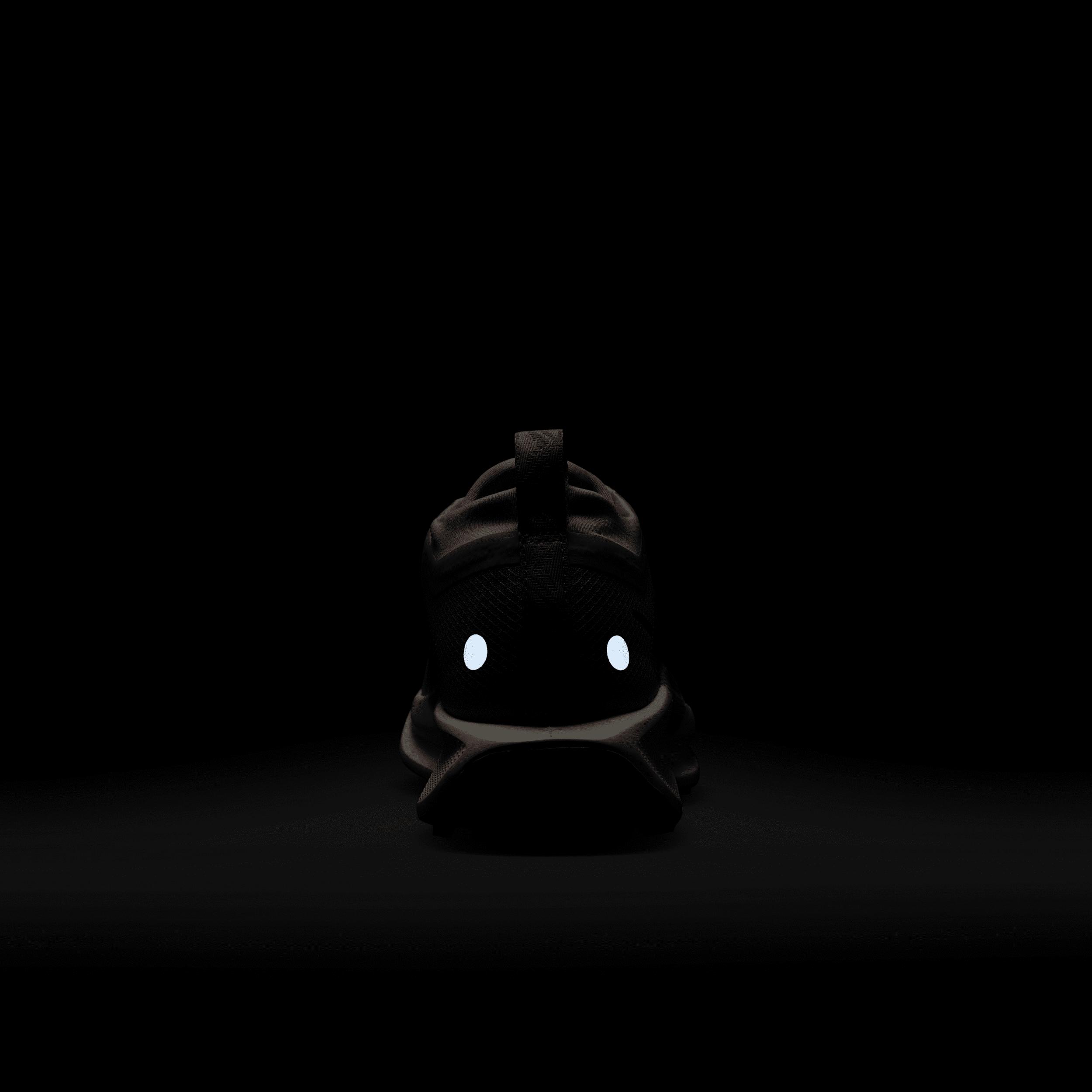 Nike Womens Pegasus Trail 5 GORE-TEX Waterproof Trail Running Shoes | FQ0912-602 Product Image