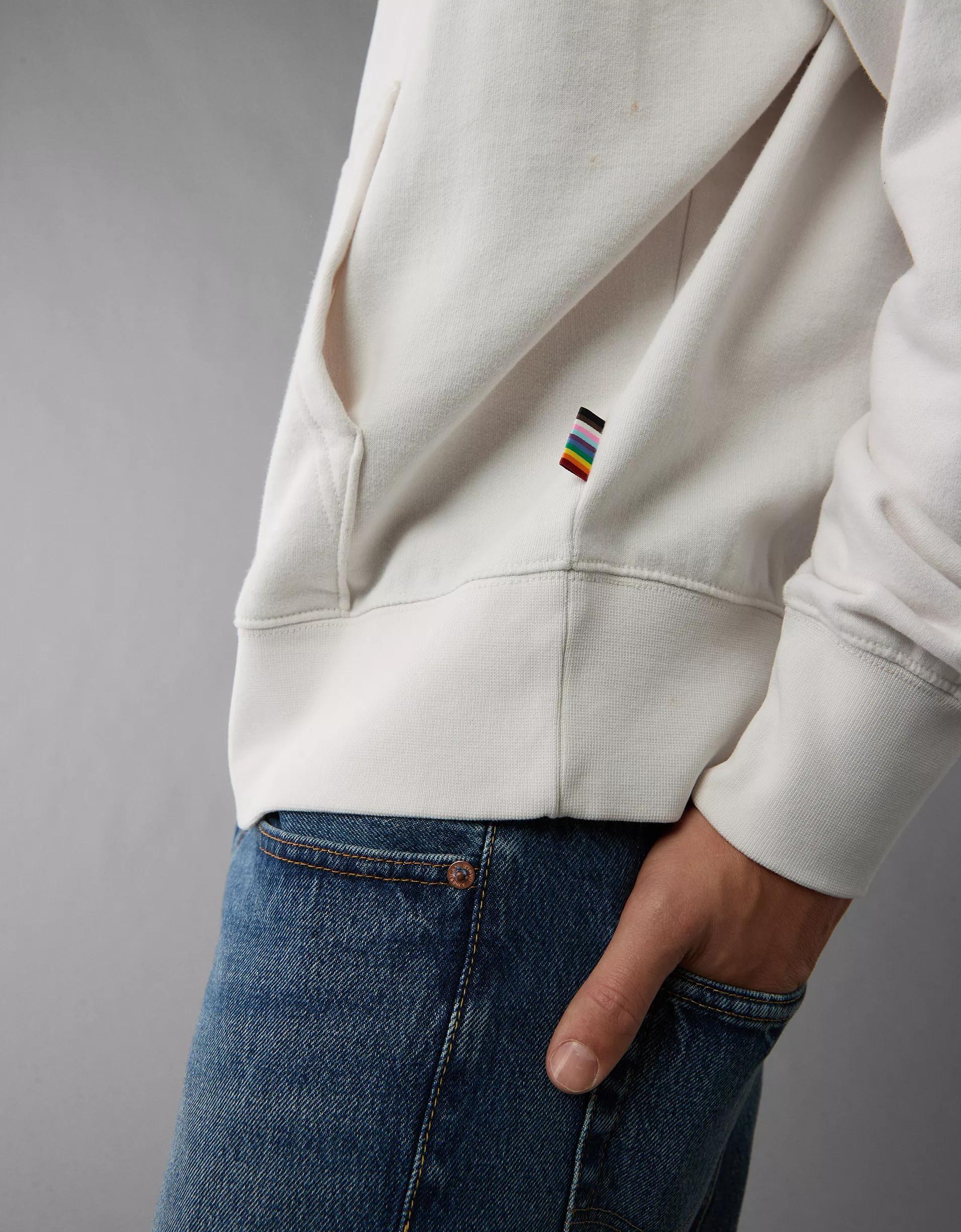 AE Pride Graphic Hoodie Product Image