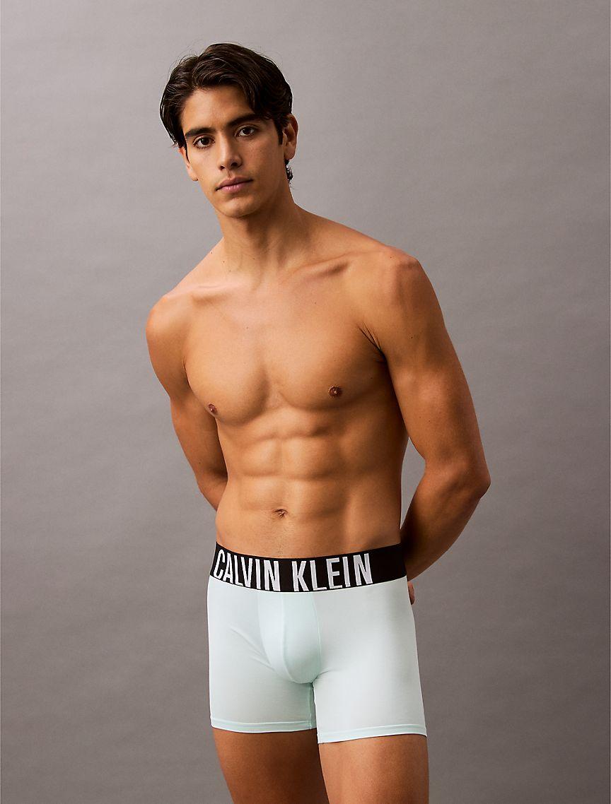 Intense Power Micro 3-Pack Boxer Brief Product Image