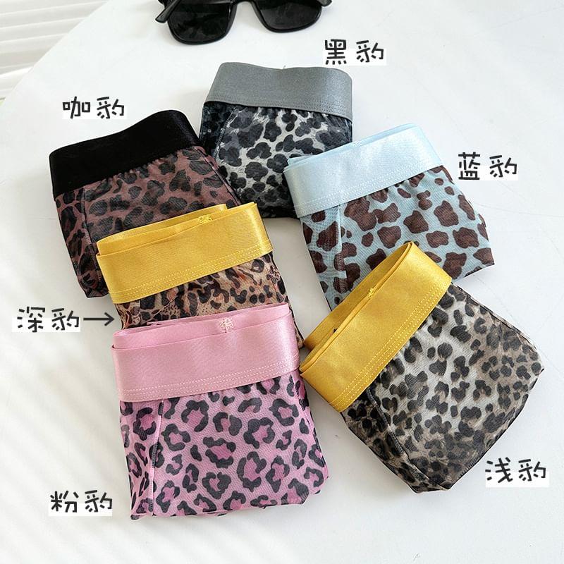 Leopard Print Boxer Brief / Set Product Image