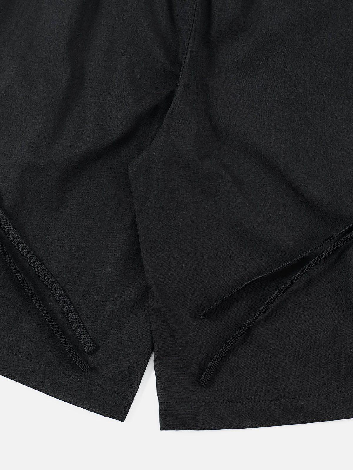 Aelfric Eden Big Pocket Shorts Product Image