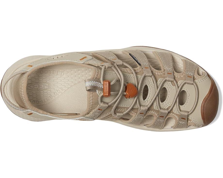 Newport H2 Product Image