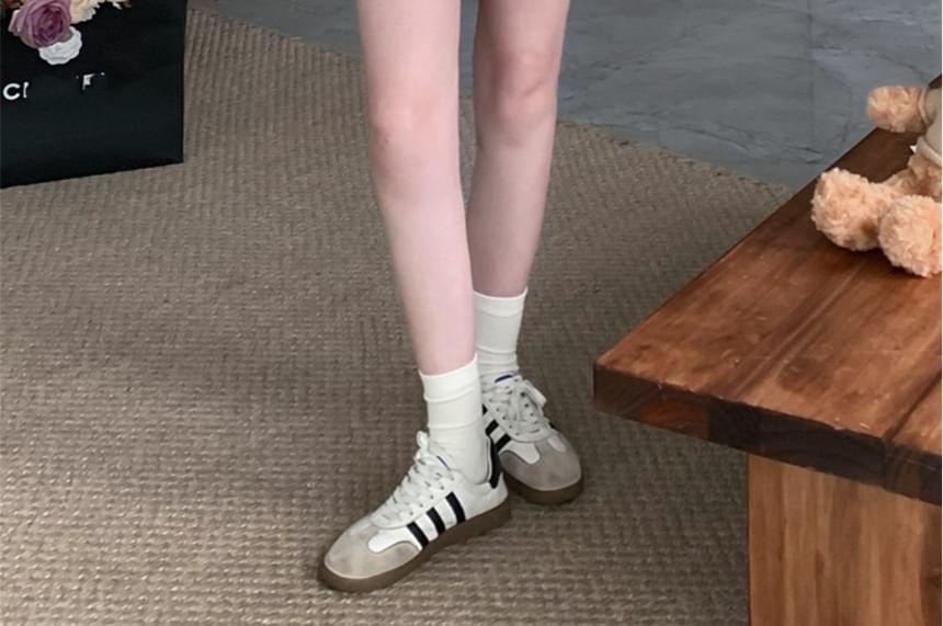 Elastic Waist Plain Sweat Shorts Product Image