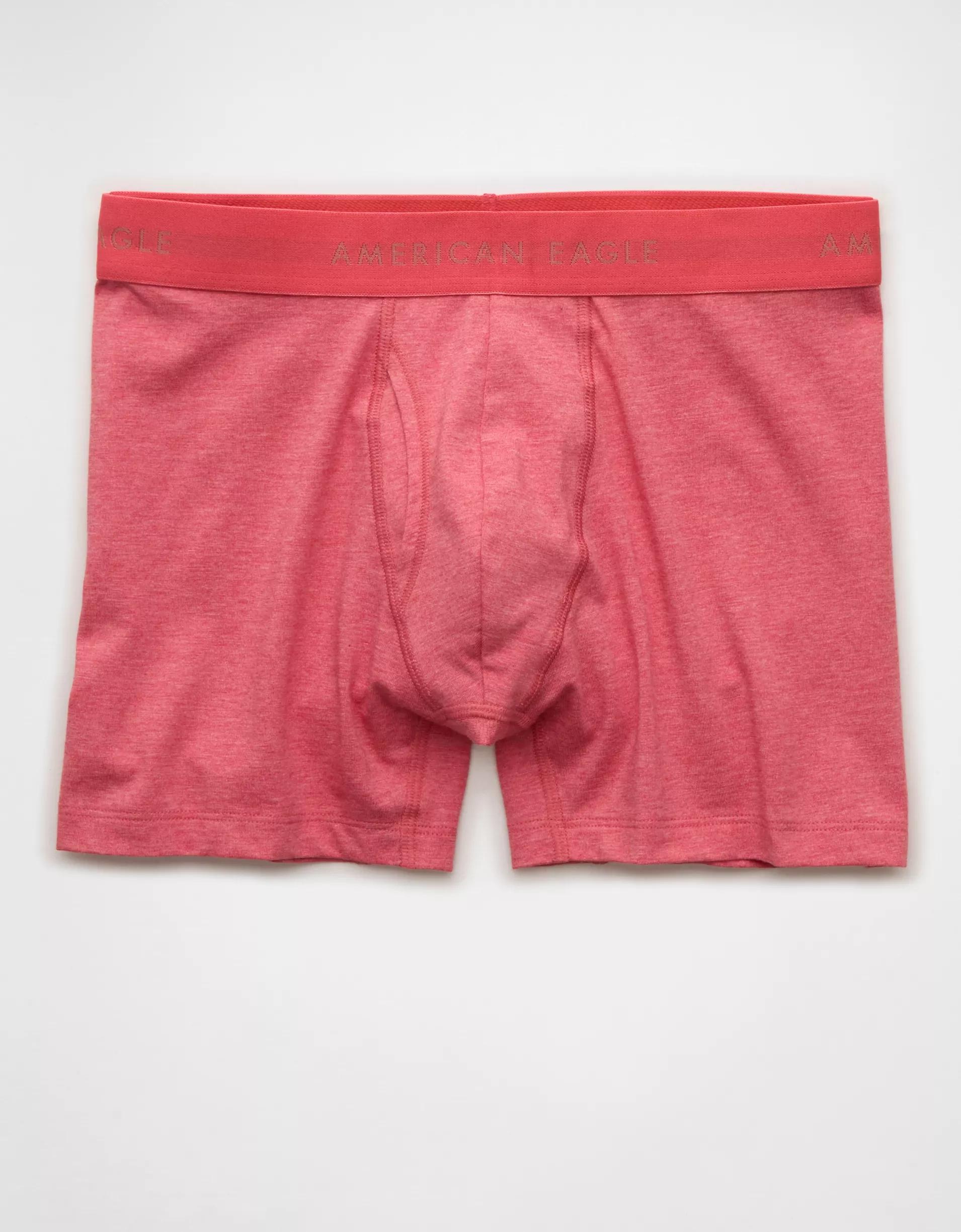 AEO Men's 4.5" Classic Boxer Brief Product Image