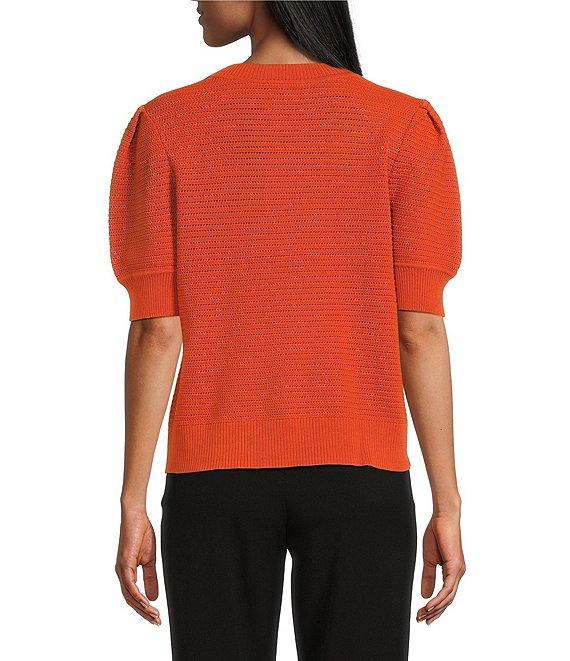 Investments Petite Size Novelty Short Sleeve Crew Neck Sweater Top Product Image