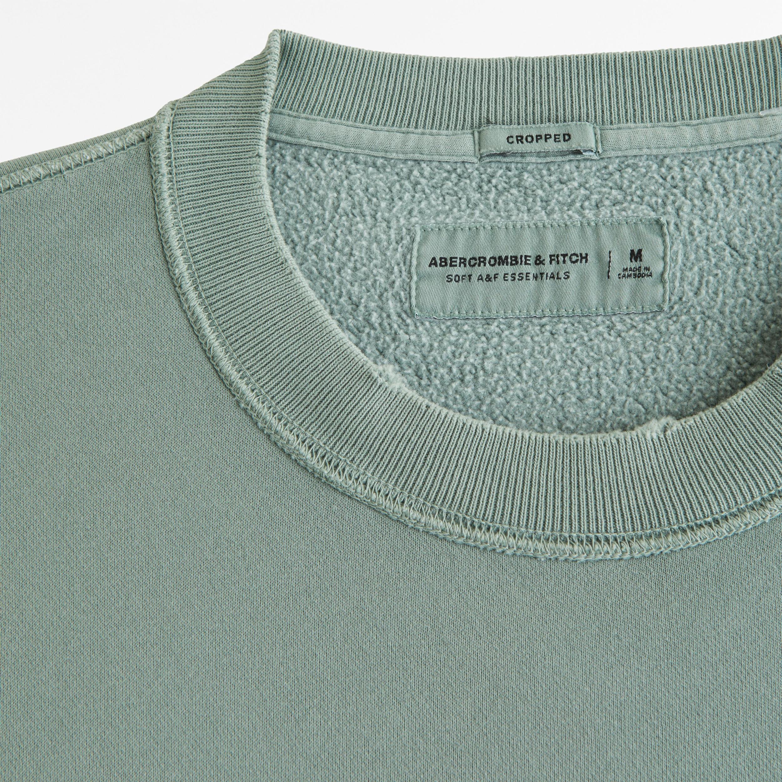 Cropped Essential Crew Sweatshirt Product Image