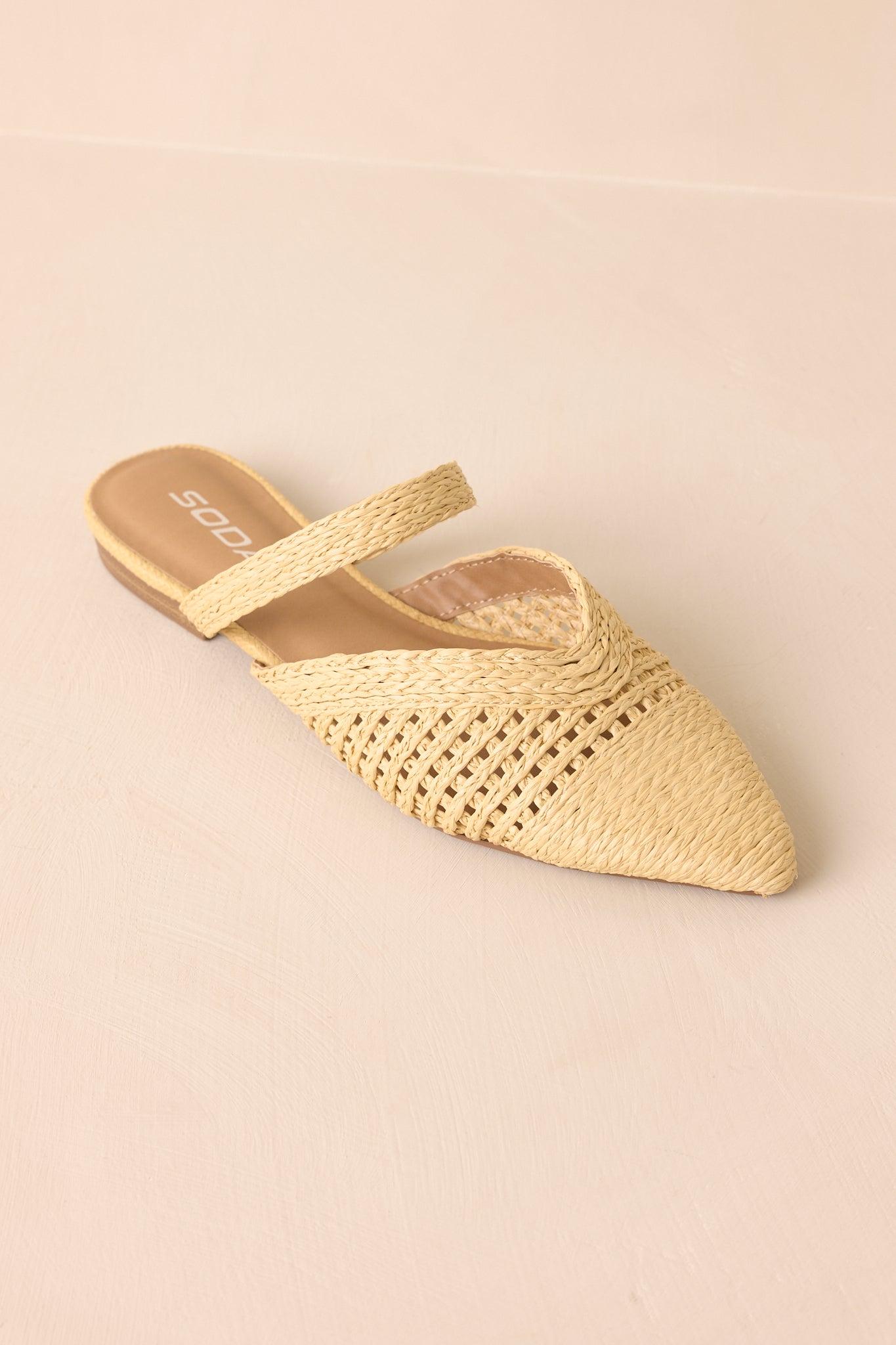There She Goes Natural Pointed-Toe Woven Raffia Mules Product Image