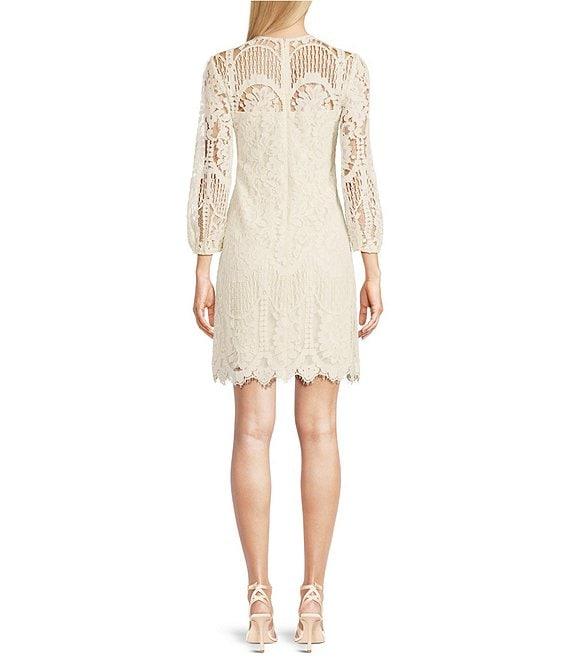 Vince Camuto Crew Neck 3/4 Sleeve Lace Illusion Shift Dress Product Image