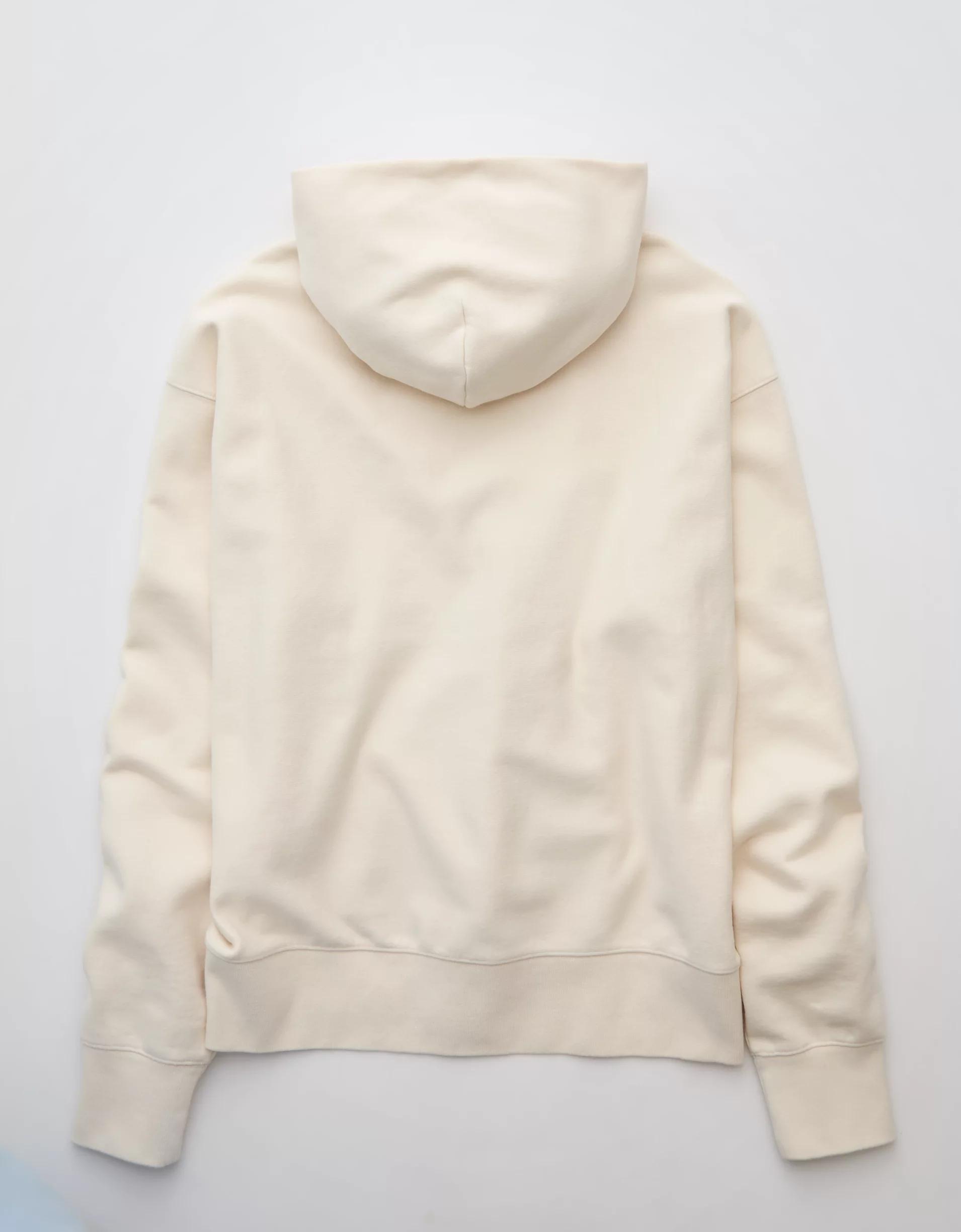 AE Laidback Luxe Heavyweight Graphic Hoodie Product Image