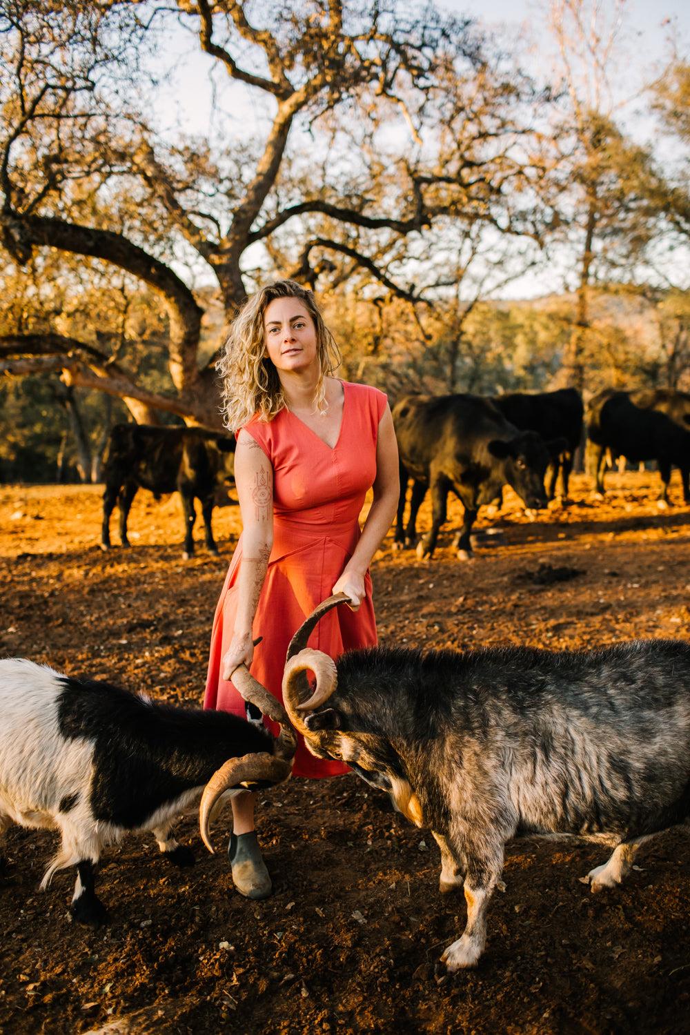 Xena Dress in Coral Linen Product Image