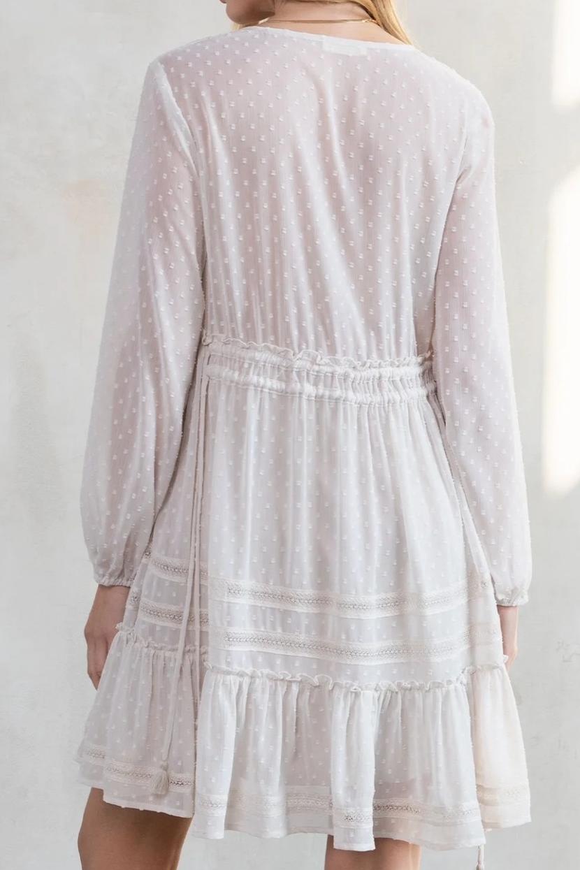 Dreamy Sheer Swiss Dot Long Sleeve Mini Dress Product Image