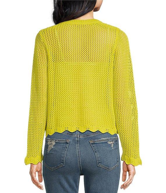 Skies Are Blue Crochet V-Neck Long Sleeve Scallop Hem Top Product Image