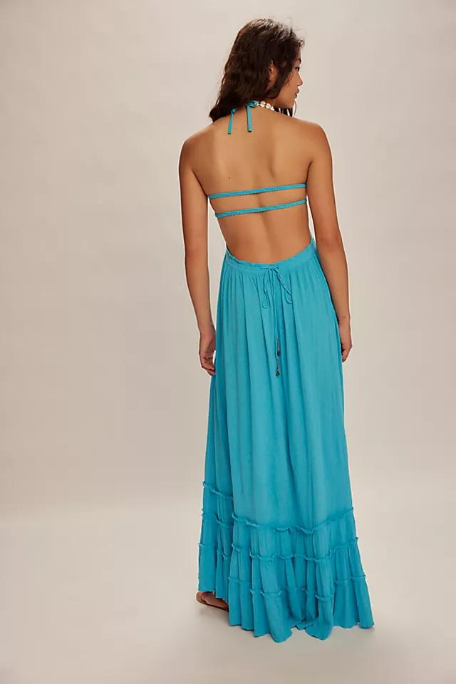 Extratropical Maxi Dress Product Image