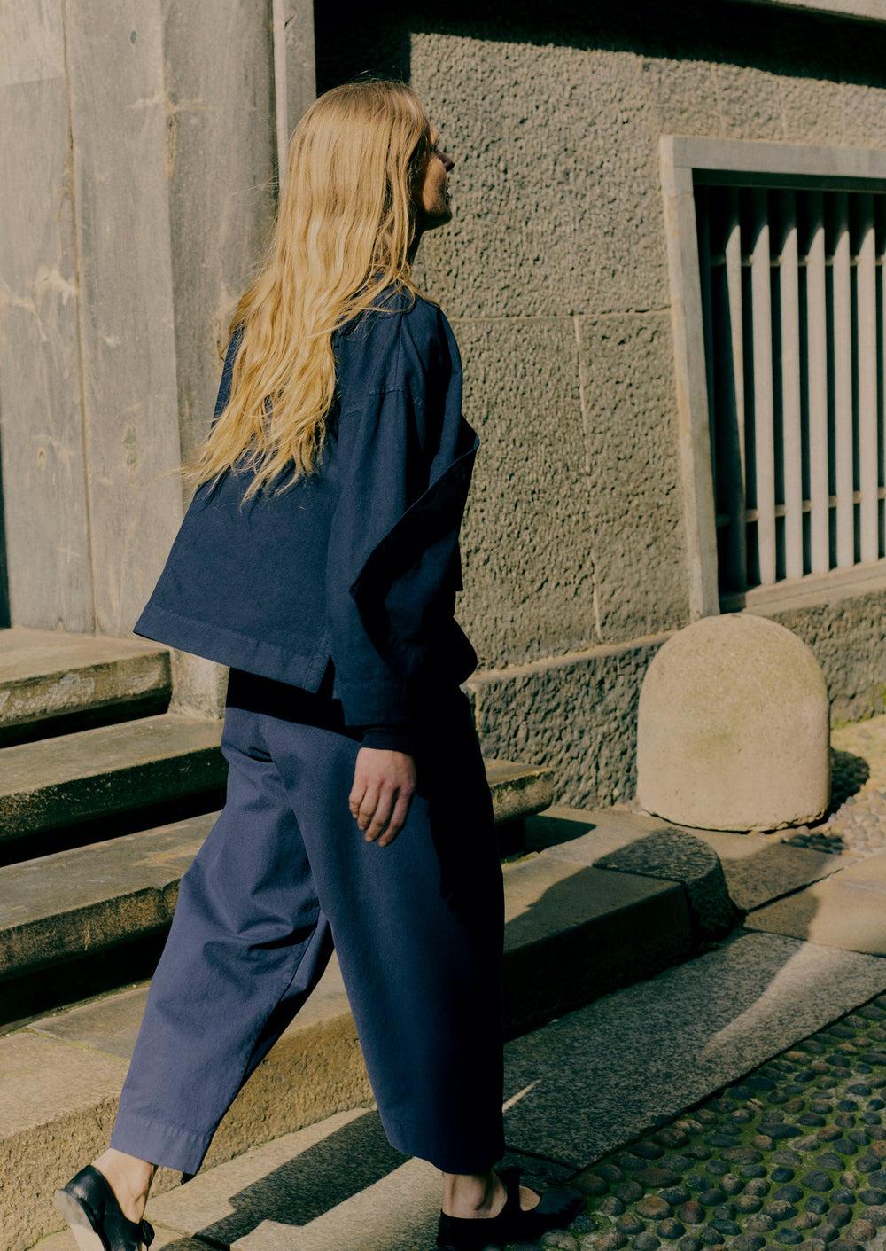 Cotton Canvas Pleat Front Pants | Blue Navy Product Image