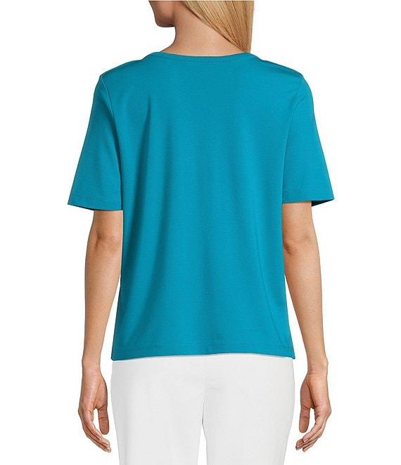 Investments Knit Short Sleeve Ballet Neck Top Product Image