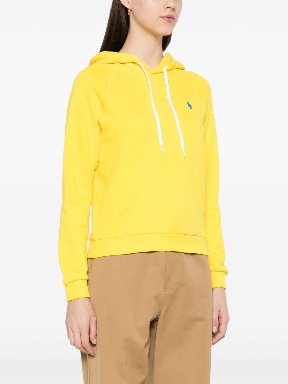 Polo Pony hoodie Product Image