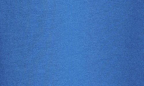 AMIRI Core Logo Graphic T-shirt In Blue Product Image