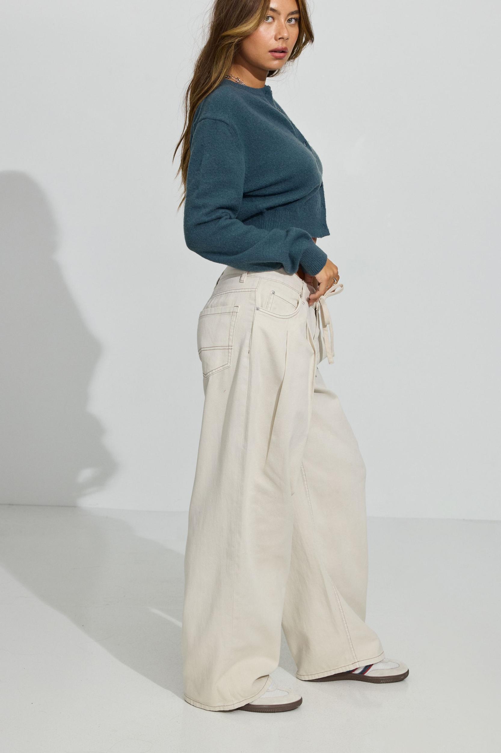 Kenzie Low Rise Baggy Pants Product Image