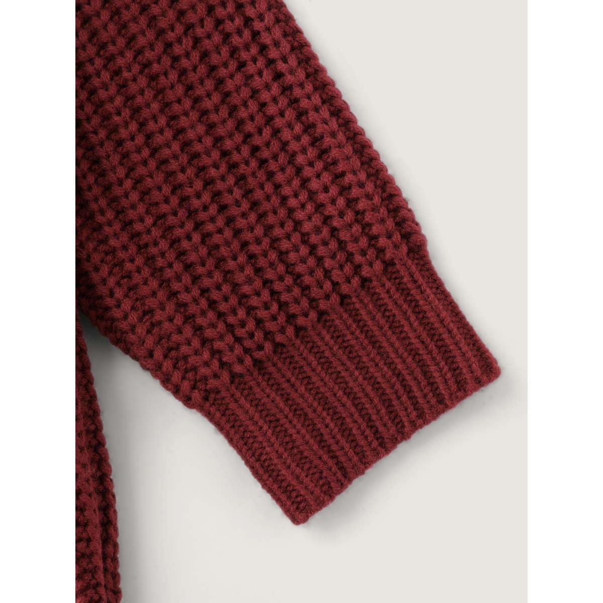 Plus Size Hooded Textured Half Placket Button Pullover Burgundy Women Playful Loose Long Sleeve Hooded Casual Pullovers BloomChic 22-24/3X Product Image