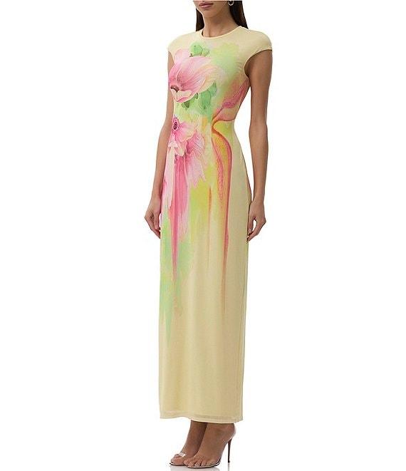 AFRM Cody Floral Print Crew Neck Cap Sleeve Mesh Maxi Dress Product Image