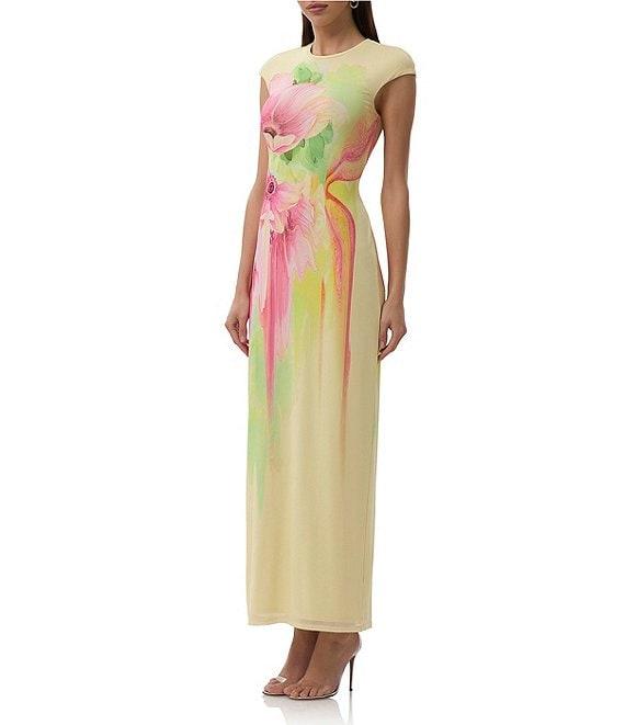 AFRM Cody Floral Print Crew Neck Cap Sleeve Mesh Maxi Dress Product Image