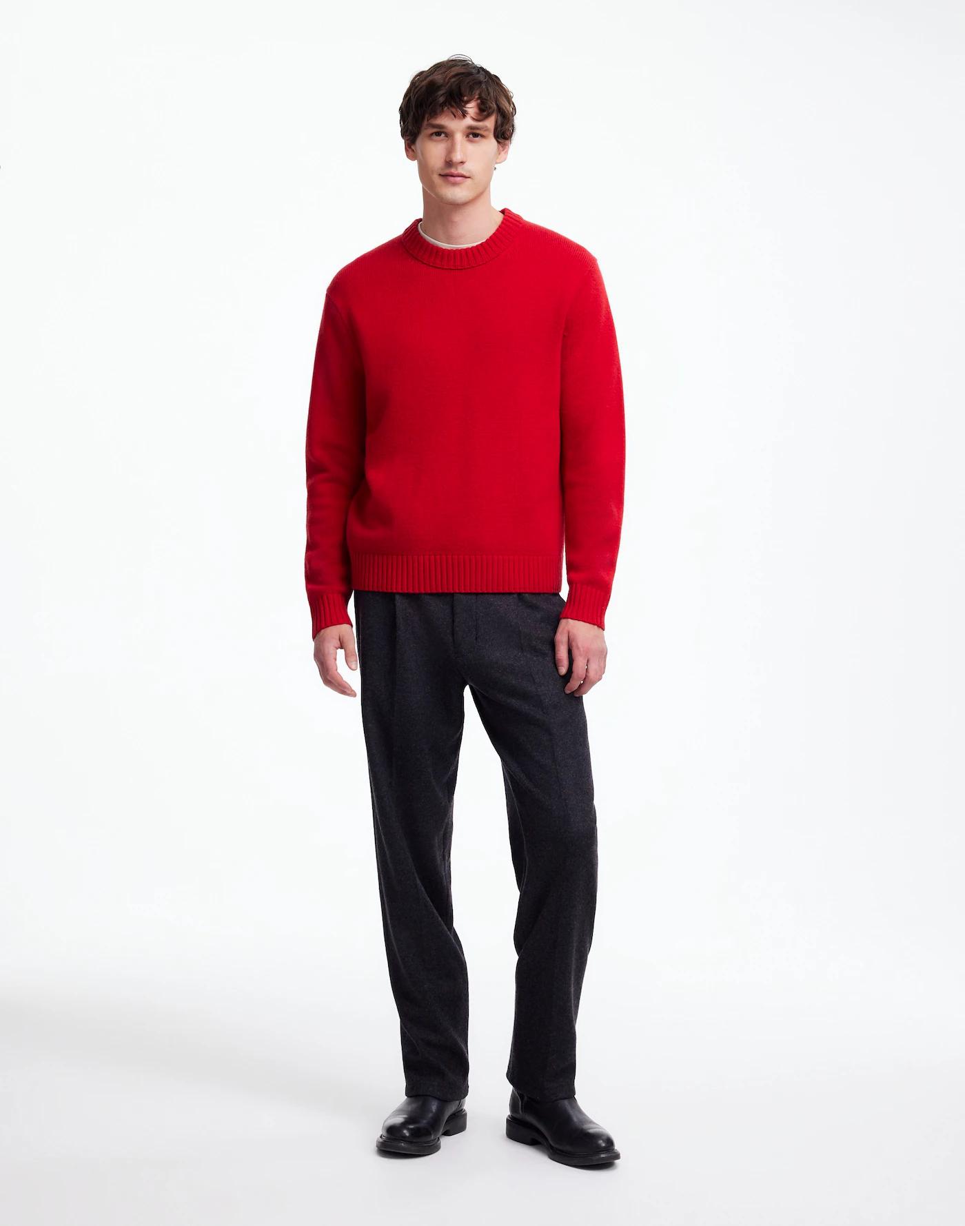 Crewneck Sweater in SoftWool Product Image