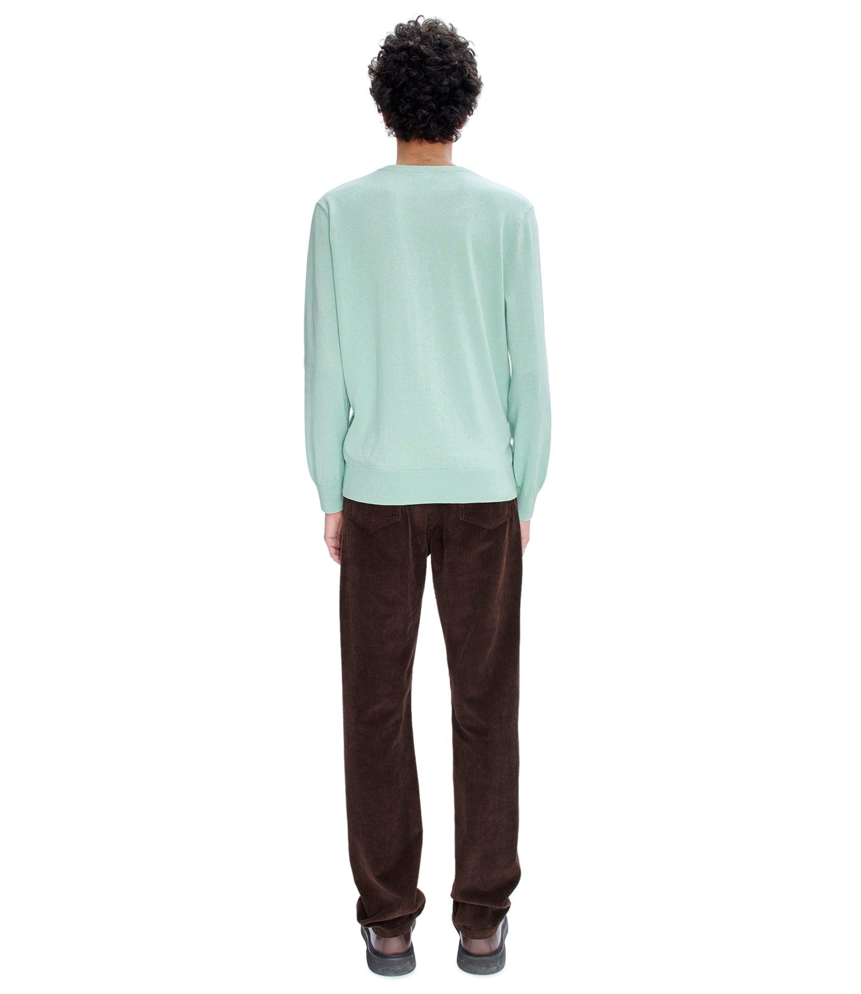 Standard pants Male Product Image