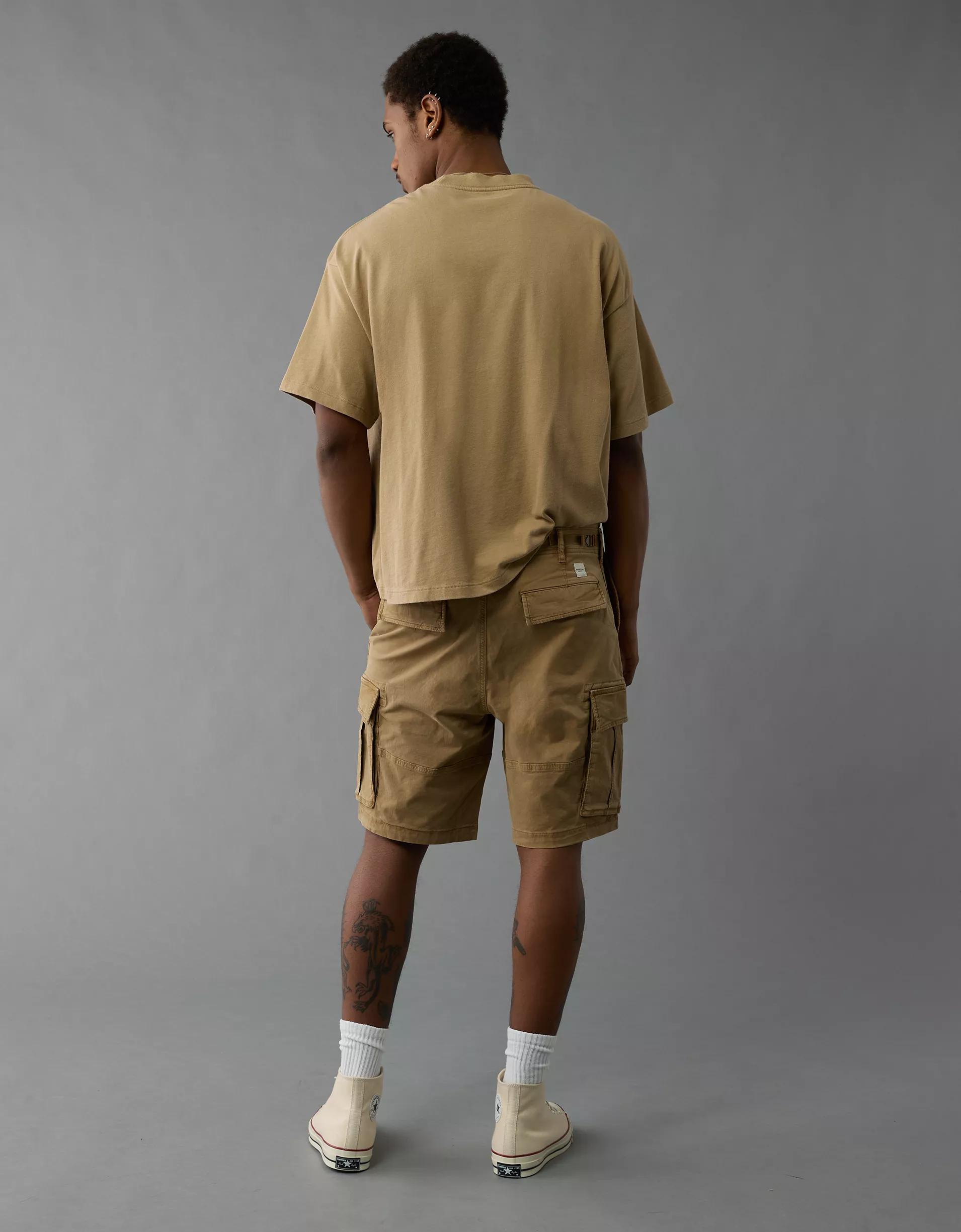 AE 10" Flex Lived-In Cargo Short Product Image