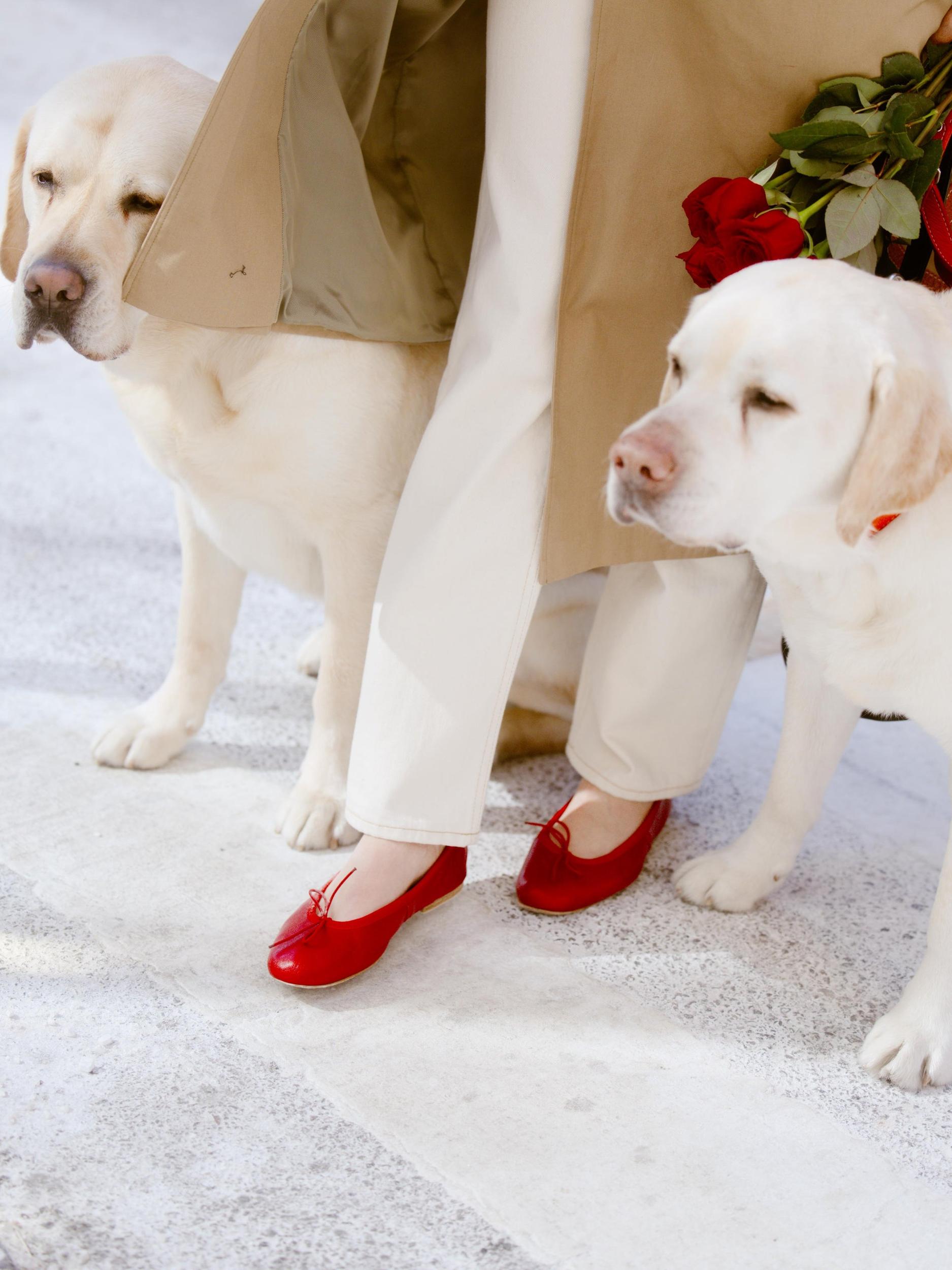 Porselli x Alex Mill Ballet Flat Product Image