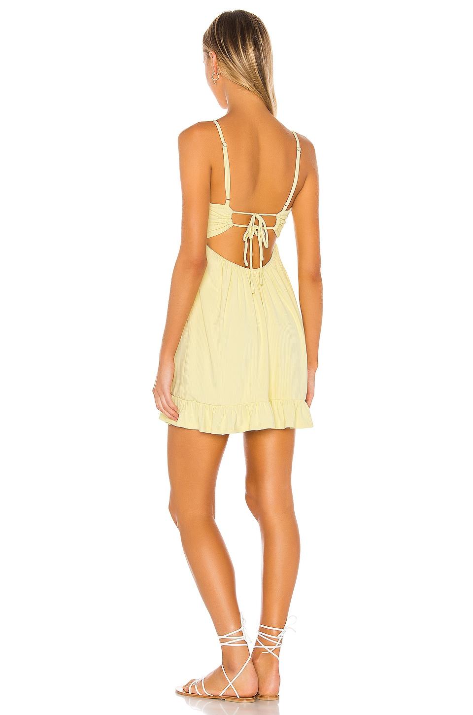 Davis Mini Dress Lovers and Friends Product Image